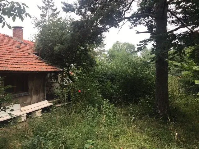 Направете си график за поддръжка на двора